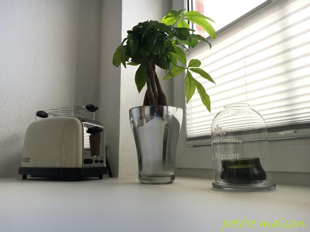 petite maison Lüneburg Extérieur photo